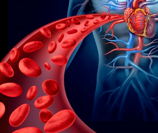 angiologia e cirurgia vascular